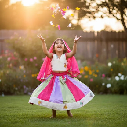 Multi-Color Panel Lehenga Set